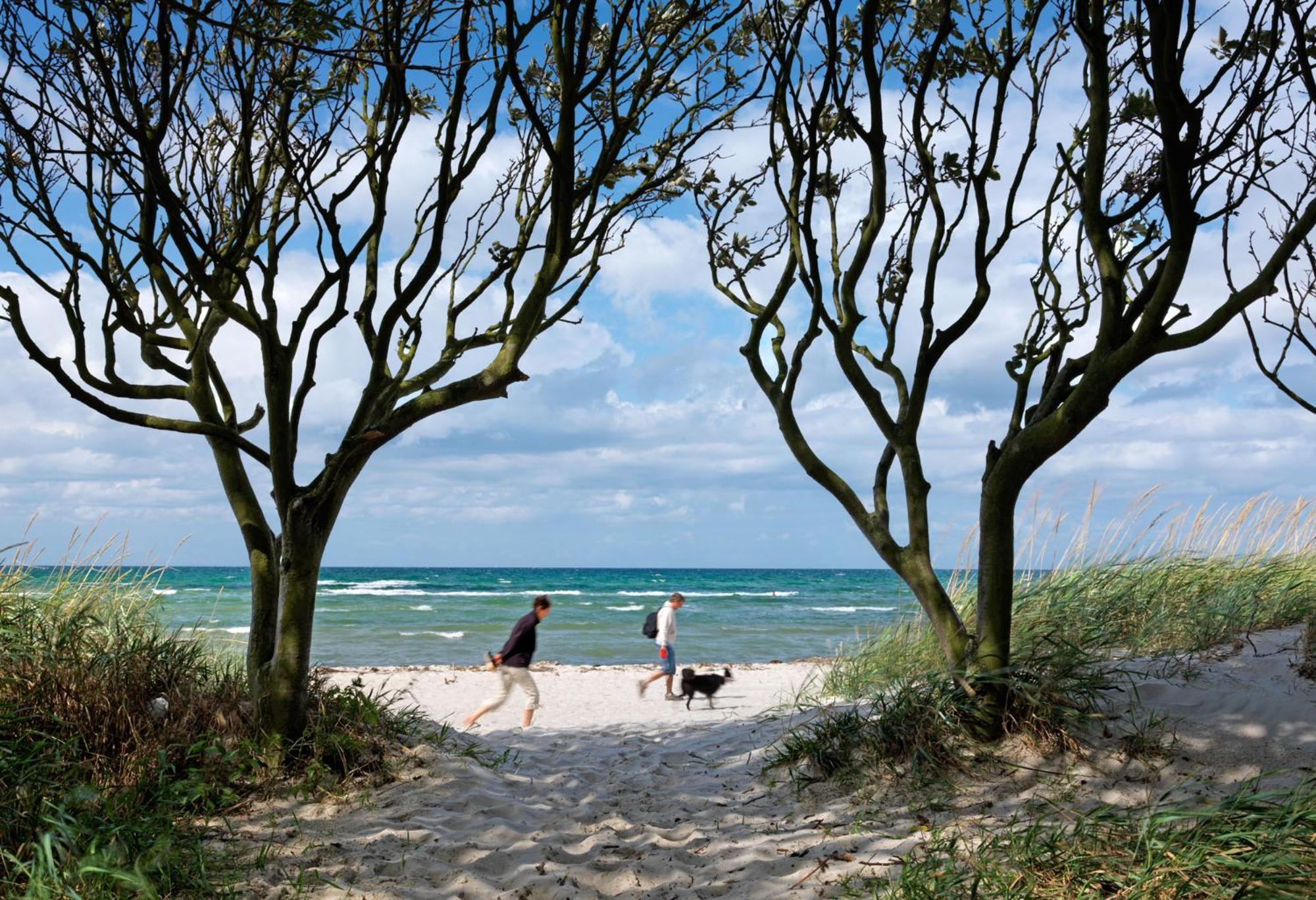 Appartamento Luett Kajuet - Fip Park Insel Poel Esterno foto