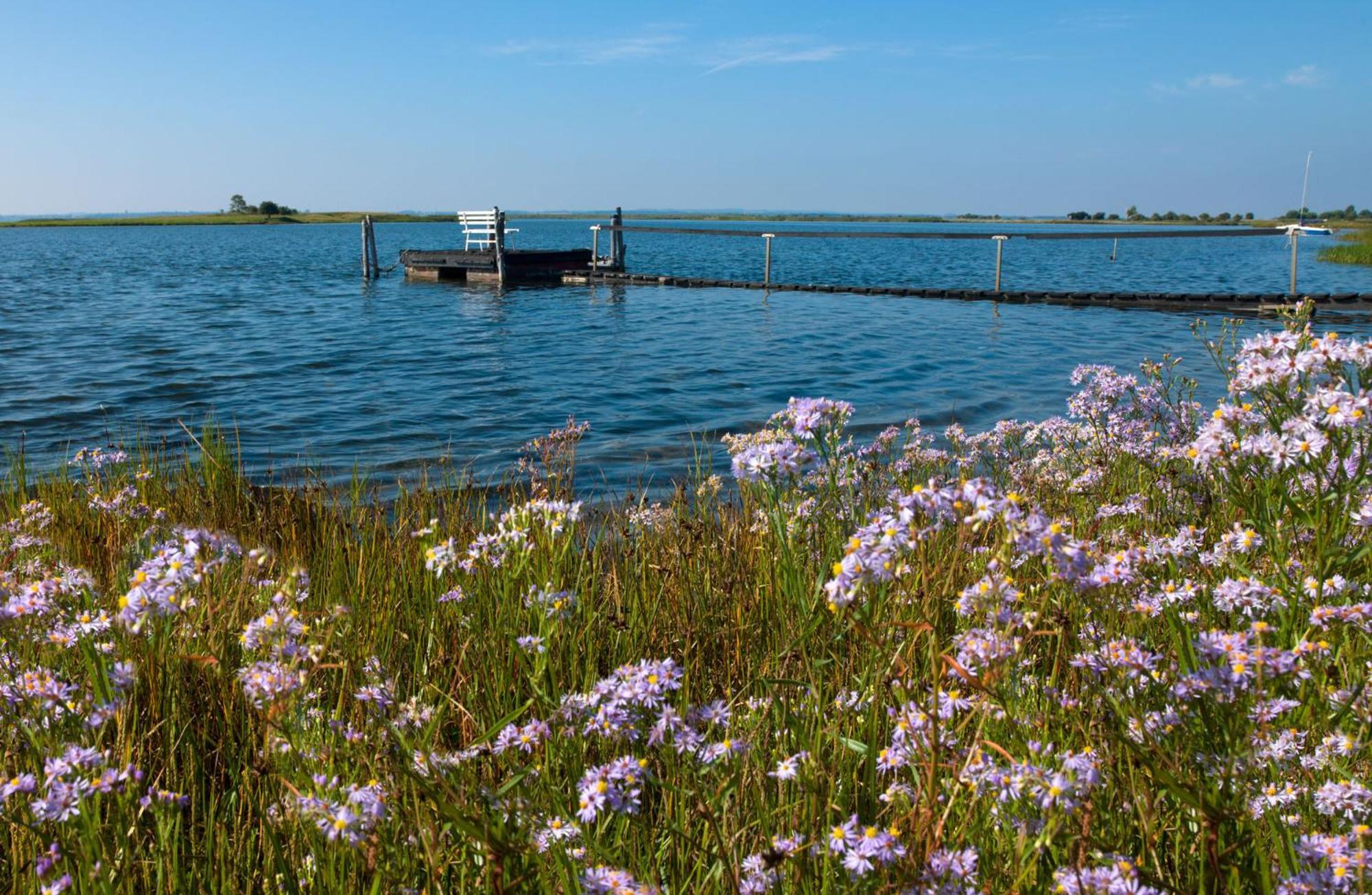 Appartamento Luett Kajuet - Fip Park Insel Poel Esterno foto