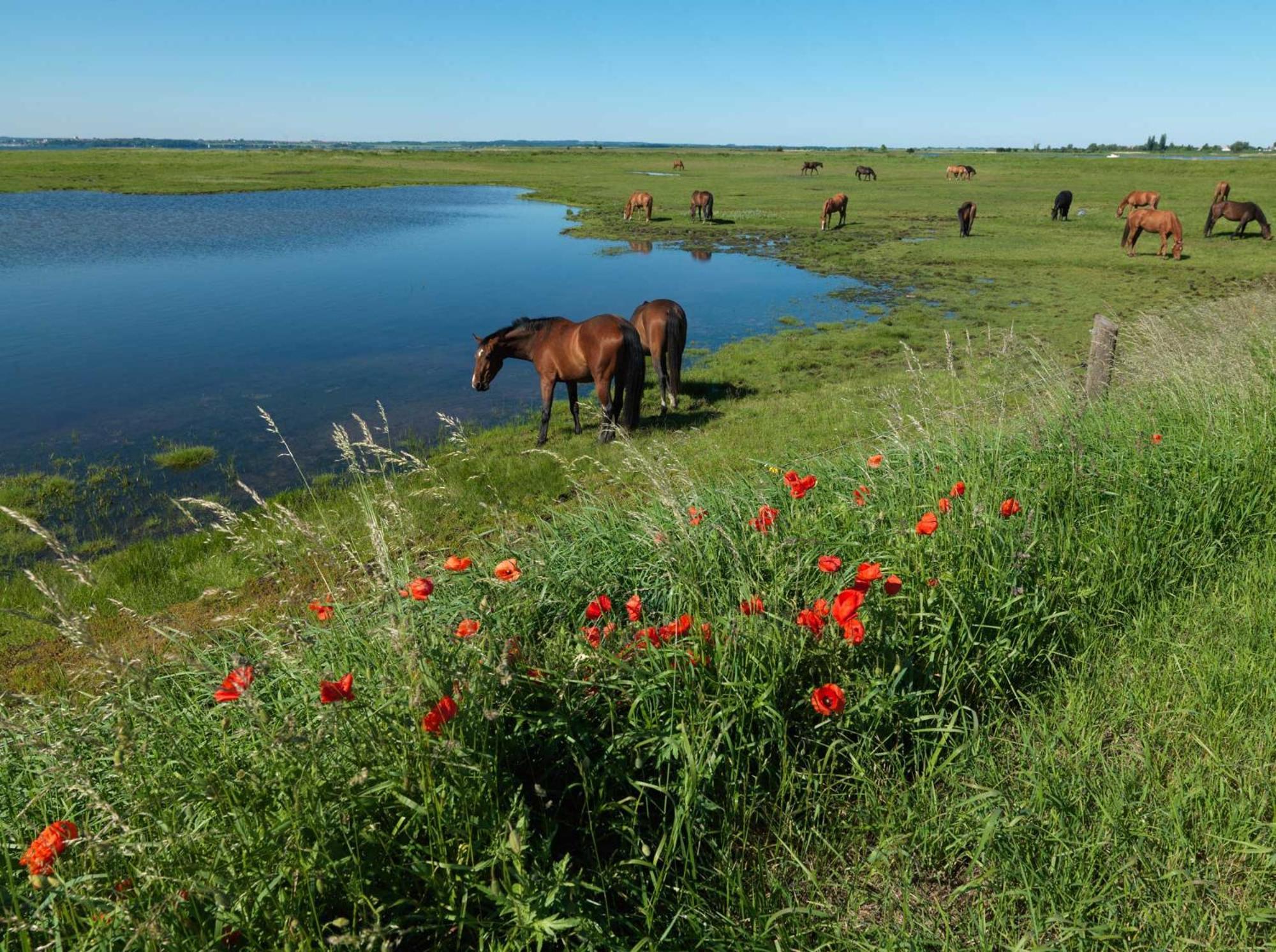 Appartamento Luett Kajuet - Fip Park Insel Poel Esterno foto
