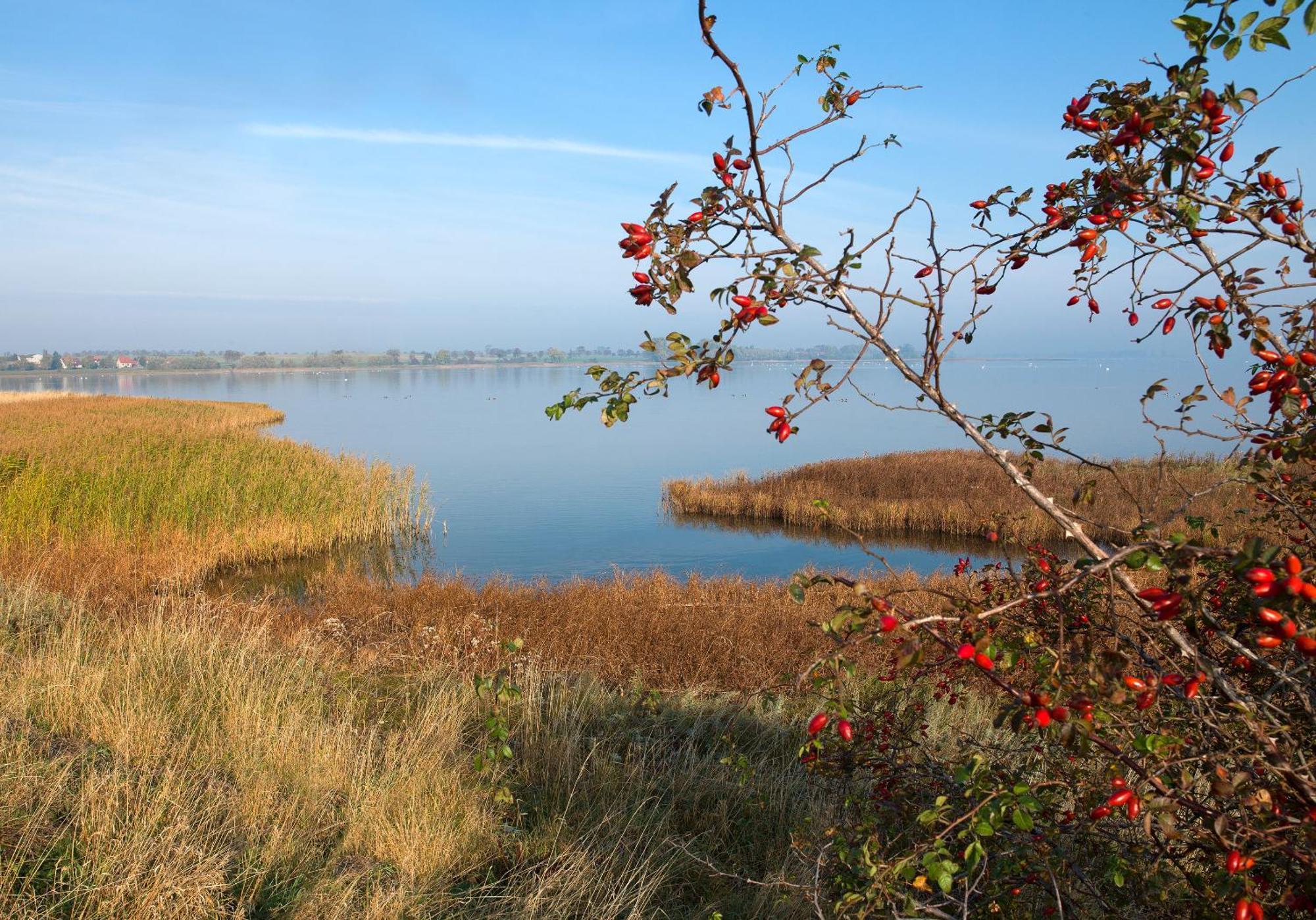Appartamento Luett Kajuet - Fip Park Insel Poel Esterno foto
